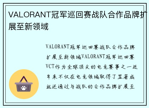 VALORANT冠军巡回赛战队合作品牌扩展至新领域